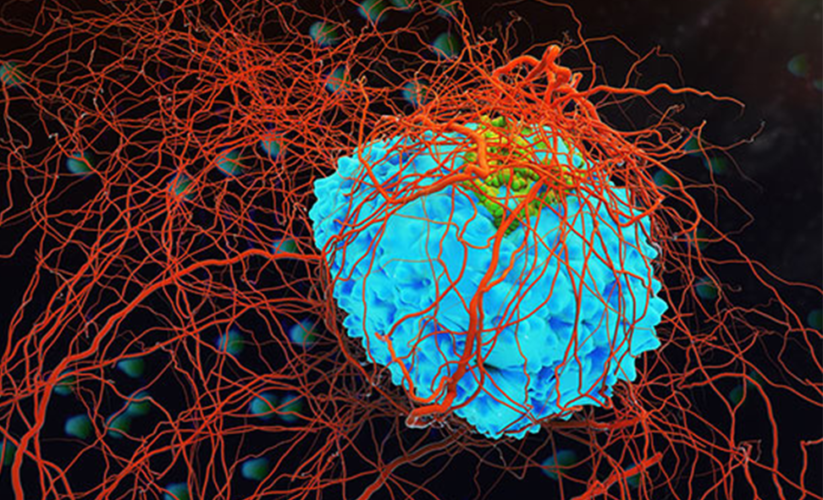 Pembrolizumab & Hypothyroidism: A Common Endocrine Side Effect in Oncocrinology