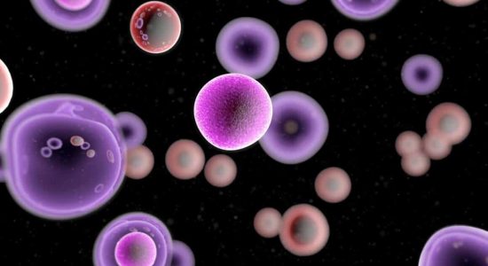 TCells_Cancer_Comp_CRI